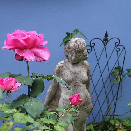 No.31 B&B Im Rosengarten Kapellen-Drusweiler 外观 照片
