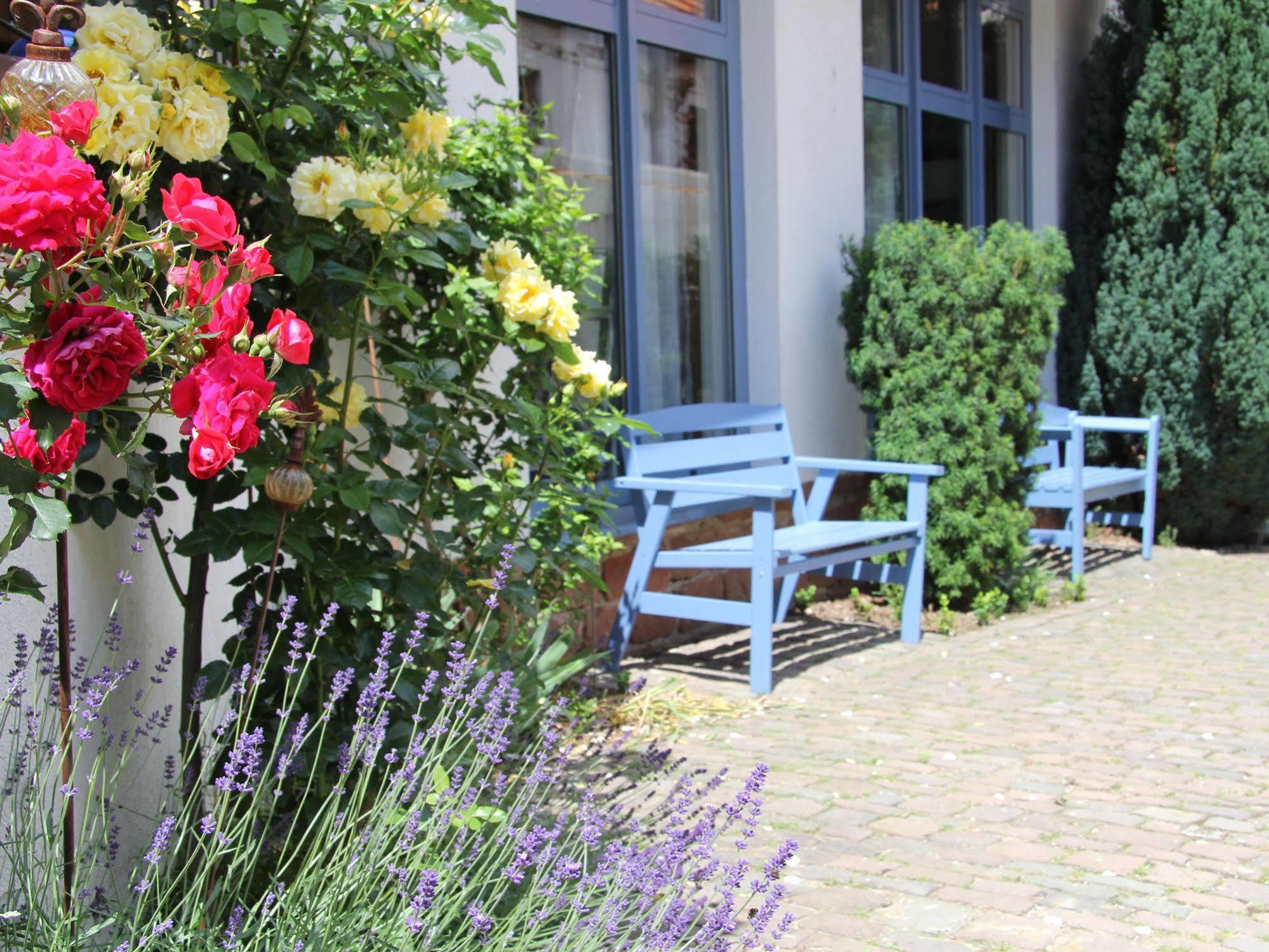 No.31 B&B Im Rosengarten Kapellen-Drusweiler 外观 照片